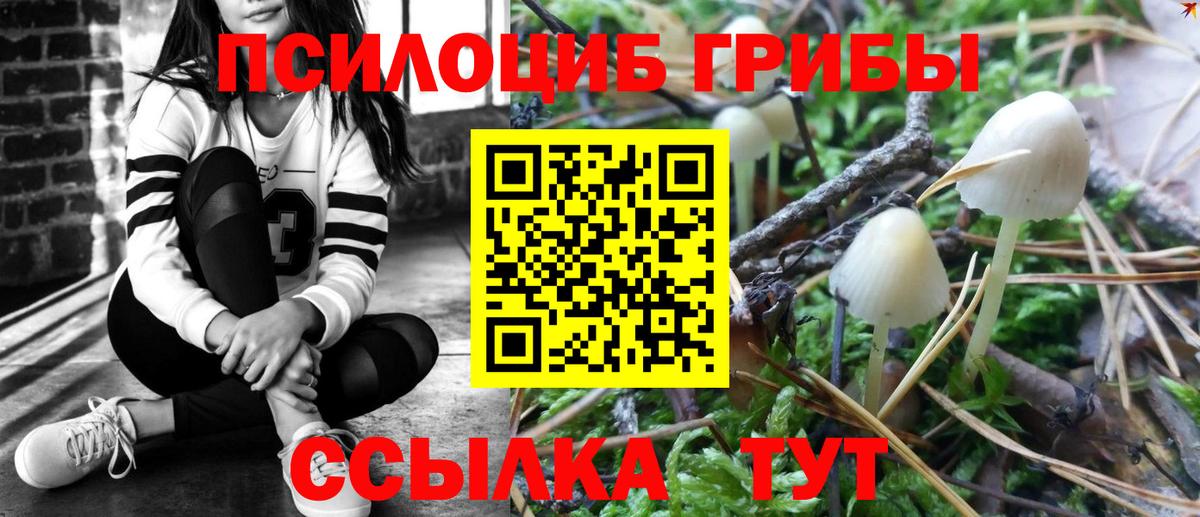 Псилоцибиновые грибы Psilocybe  Вход с VPN  хочу   Бузулук 